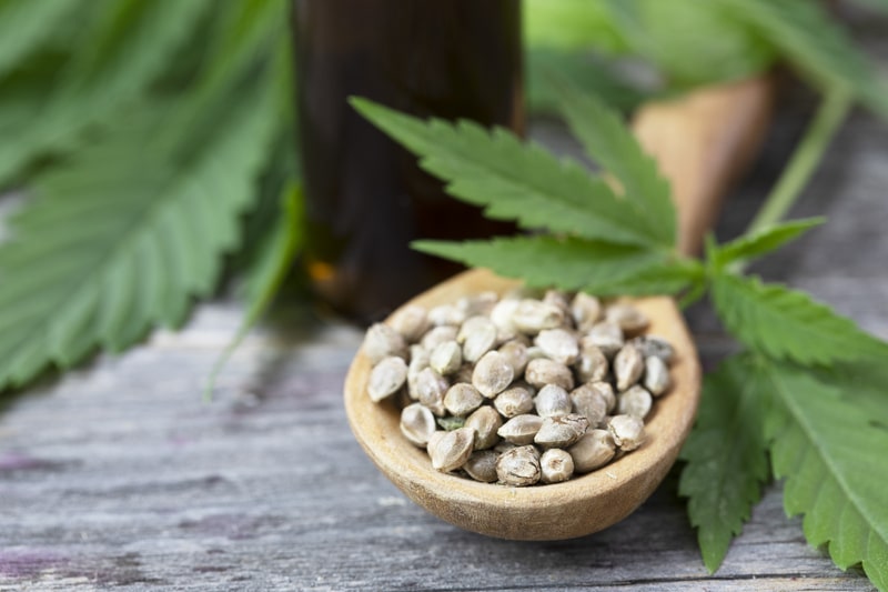 sementes de cannabis colher de madeira