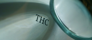 fibromialgia thc