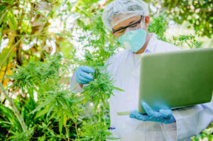 CBD resultados comprovacao cientifica para tratamentos