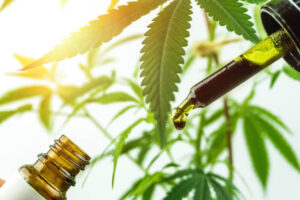 thc medicinal conservadorismo em relação ao uso