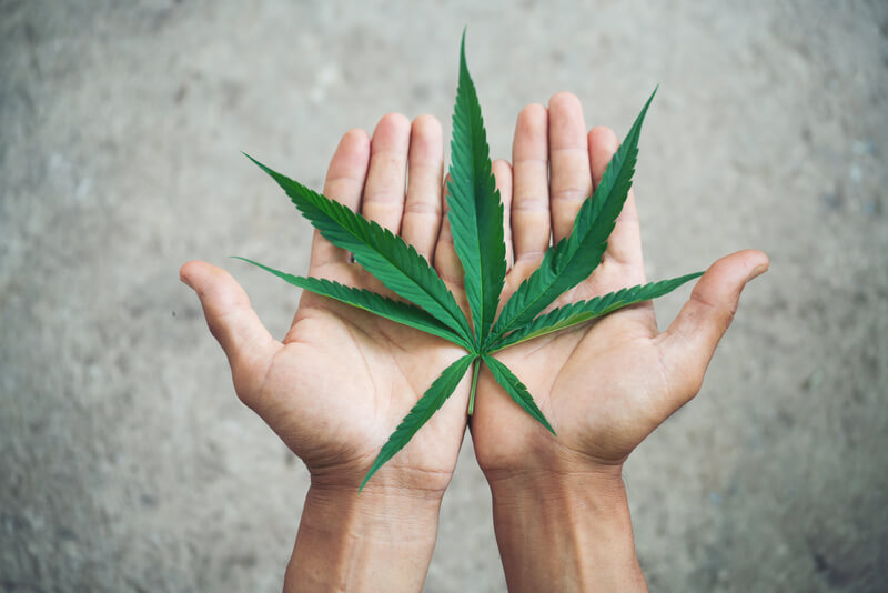 cannabis medicinal recreativa diferenca