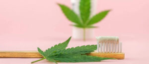 dentista odontologia cannabis