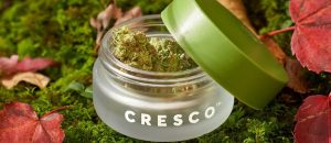 Cresco-Labs-maior-empresa-Cannabis-EUA 