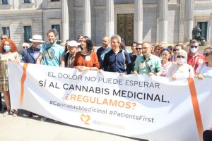 ¡Regulamos! Como a regulamentação da Cannabis na Espanha impacta os pacientes?