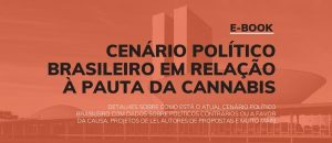 e-book Cenário político