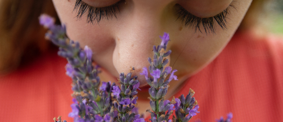 CBD e autismo: novas perspectivas terapêuticas com terpenos