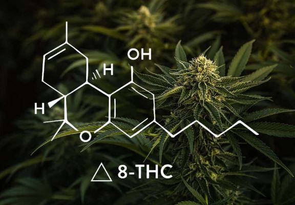 FDA alerta sobre riscos de consumir delta-8-THC