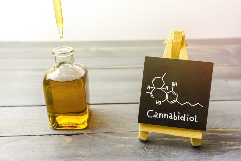 canabidiol bula cannabis