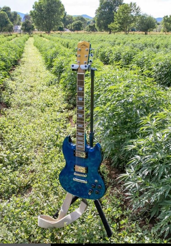 Guitarra feita com a fibra da Cannabis