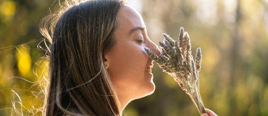 Uma relação surpreendente entre sistema endocanabinoide e olfato