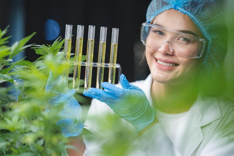 canabidiol vicia cientista