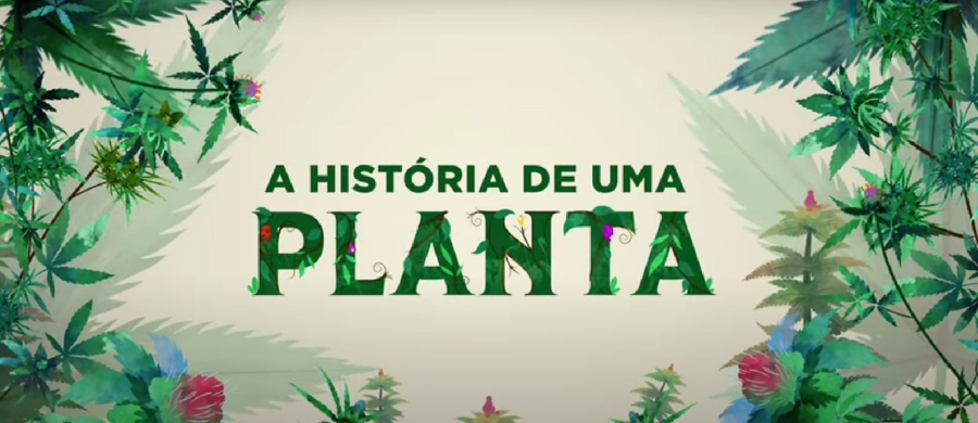 planta