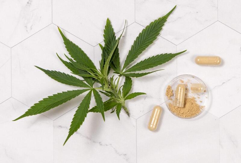 cannabis como medicamento capsula