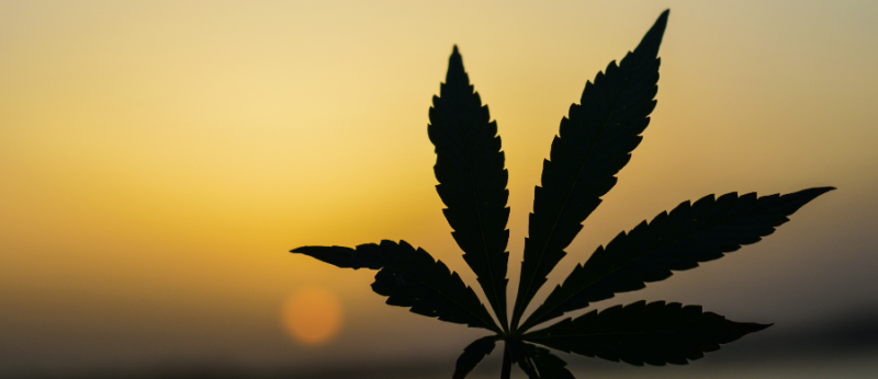 Colômbia rejeita Cannabis de uso adulto, mas debate continua