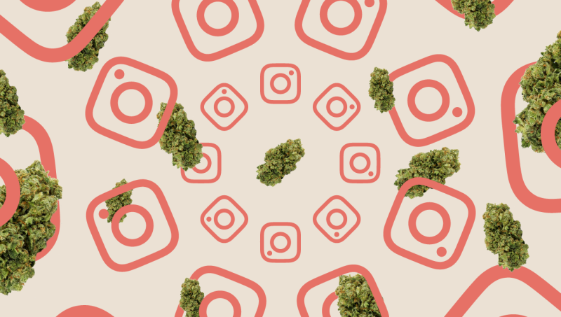 Instagram pede desculpas, mas bloqueia Cannabis & Saúde de novo