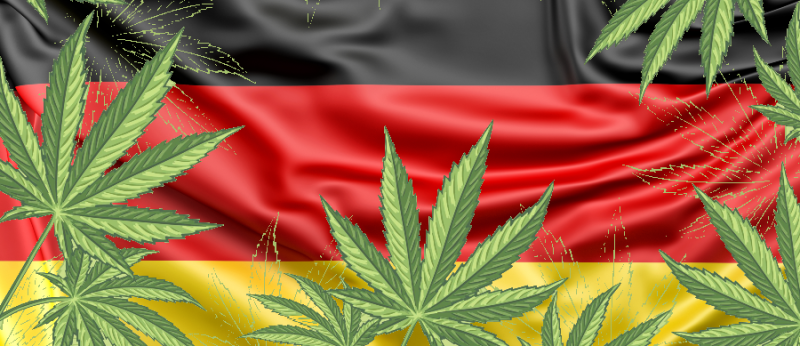 Legalização da Cannabis na Alemanha será em etapas