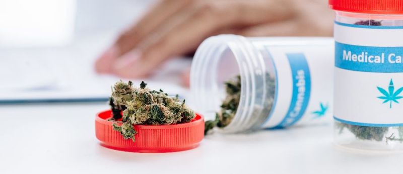 Os componentes da Cannabis e uma medicina personalizada