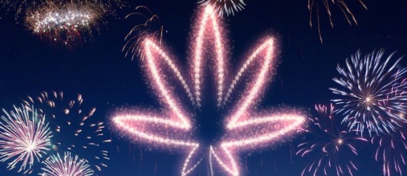 ano novo cannabis