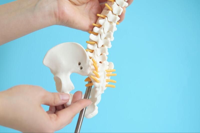 dor-musculoesqueletica-vertebra