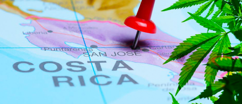 Cannabis próxima de ser regulamentada na Costa Rica