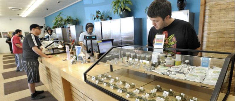 Budtenders são profissionais especializados em flores de Cannabis